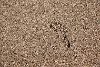 EA开源IRIS工具 协助开发者帮助光敏感性疾病玩家